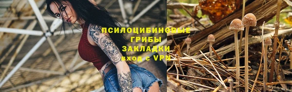 apvp Беломорск