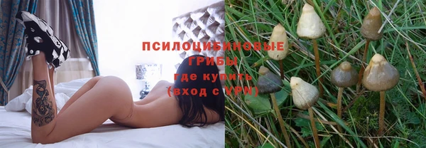 apvp Беломорск