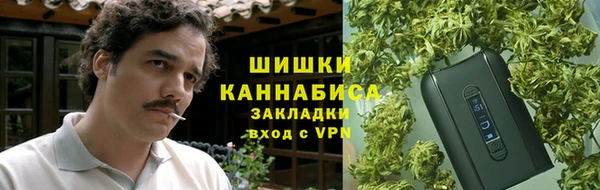 трава Белокуриха