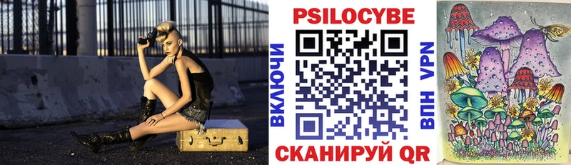 где можно купить наркотик  Севск  Псилоцибиновые грибы Cubensis 